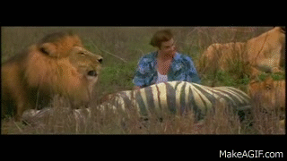 CWWv8kz.gif