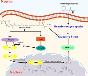 www.sciencedirect.com