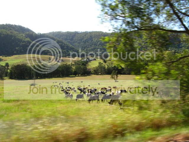 IMG_0487.jpg