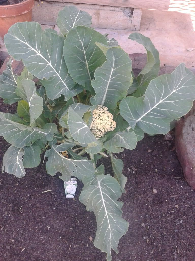 2013-09-02144410_zps3d17f75a.jpg