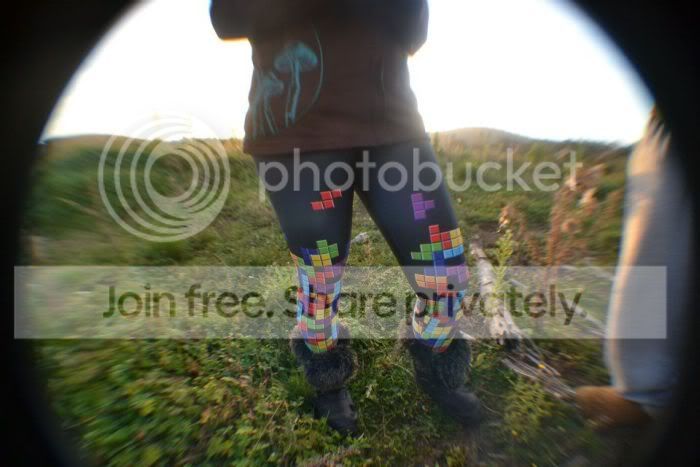 shroom18.jpg