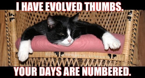 damn-dirty-apes.jpg
