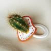 cactus-pacifier.jpg