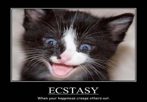ecstasy_poster_3.jpg