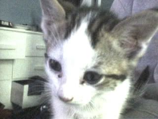 Picture129-1.jpg