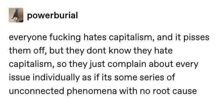m0y5je49tj451.jpg