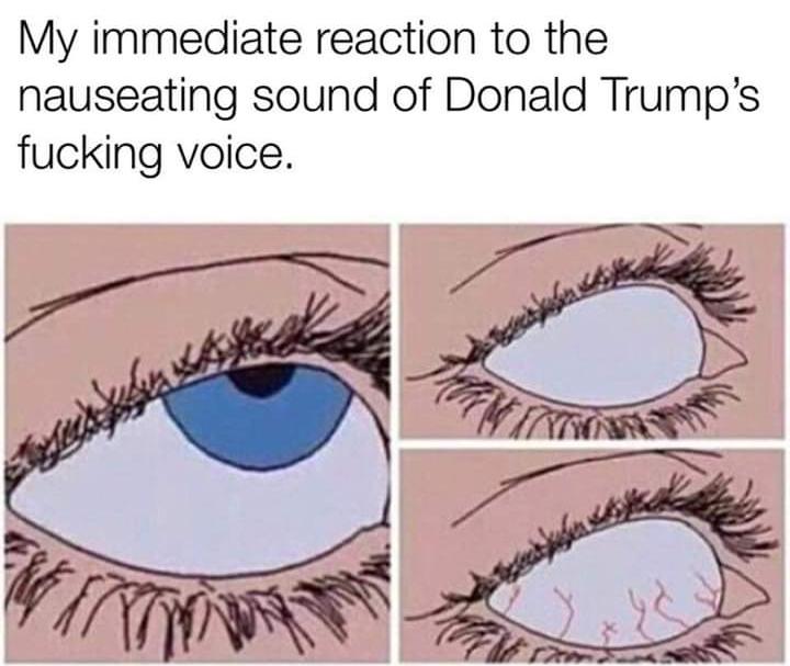 1m1xoy5jr0k21.jpg