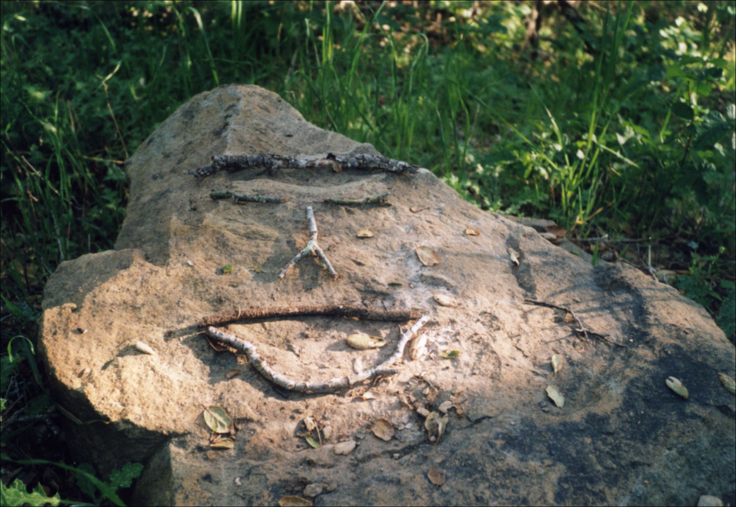 StoneFace(1500x1033).jpg