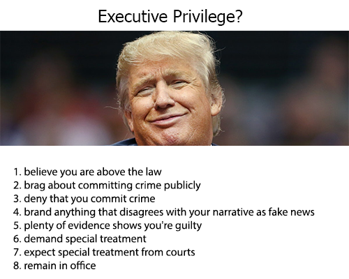 trump04.png