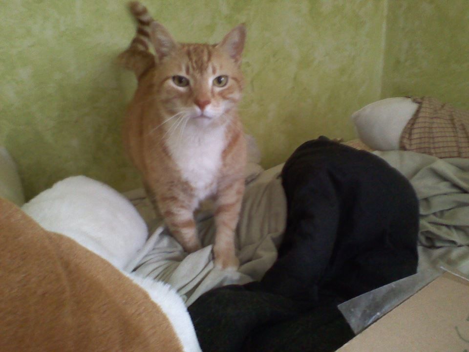 image_zps60096012.jpg