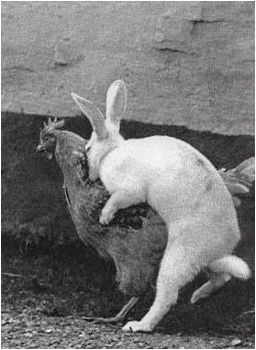 easter-history-pic3.jpg