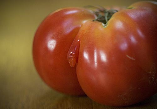 sexytomato.jpg