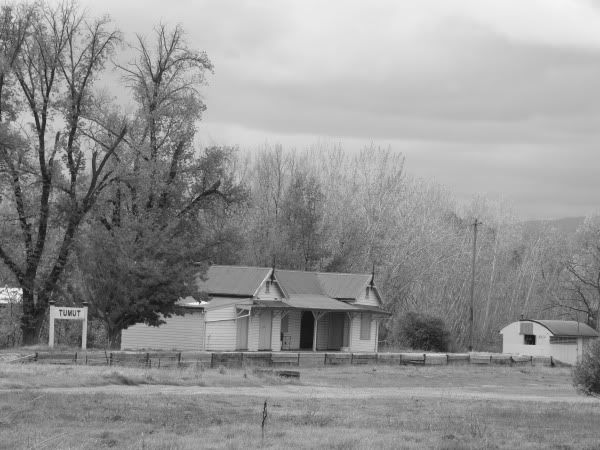 tumut.jpg