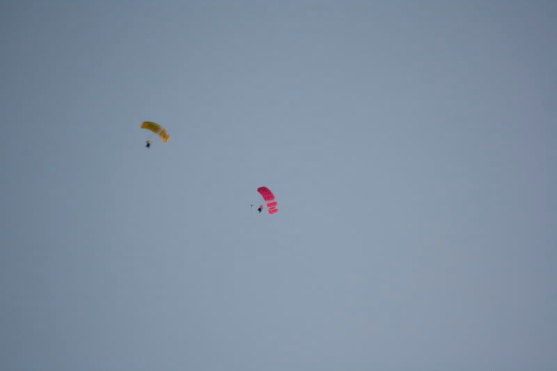 IMG_8781.jpg