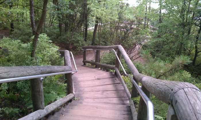 rimrock-001.jpg