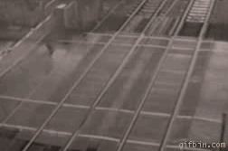 1234206695_near%20death%20experience.gif