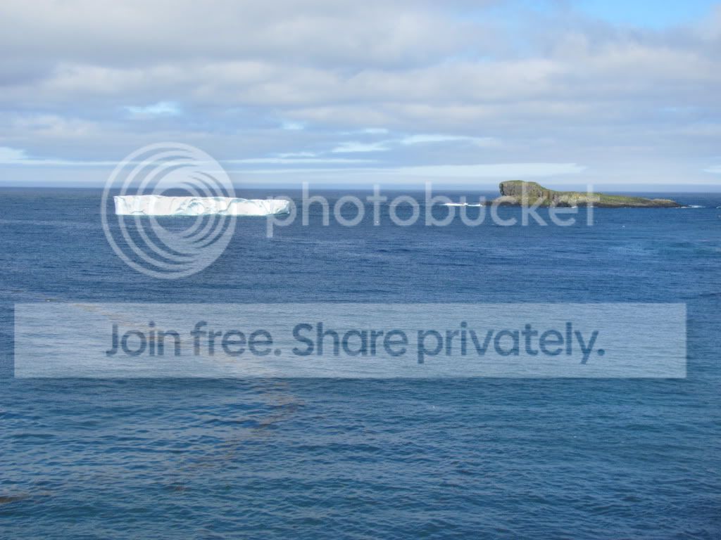 IMG_1269.jpg