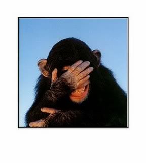 embarrassed-785026bmp.jpg