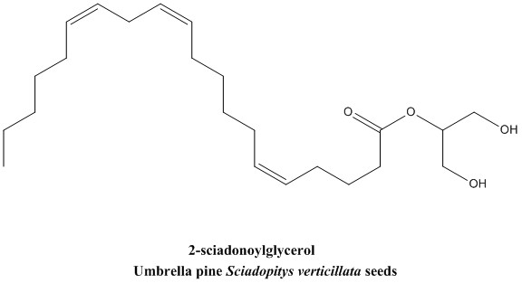 2-sciadonoylglycerol.jpg