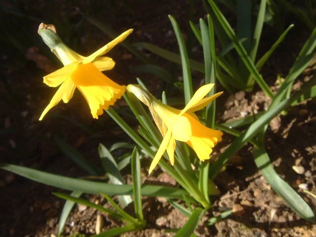 DSCF0404.jpg