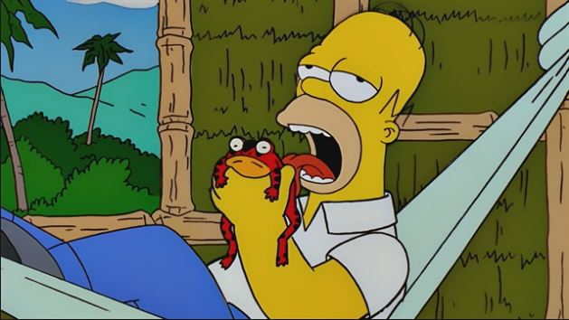 homertoadlick.jpg
