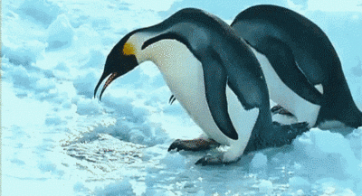 rAYafTC.gif