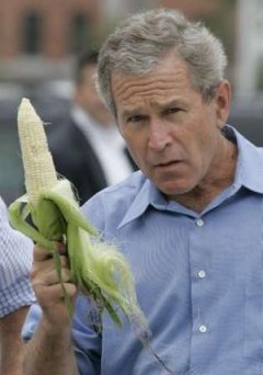 bush_corn.jpg
