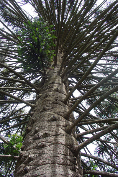 r185575_690578.jpg