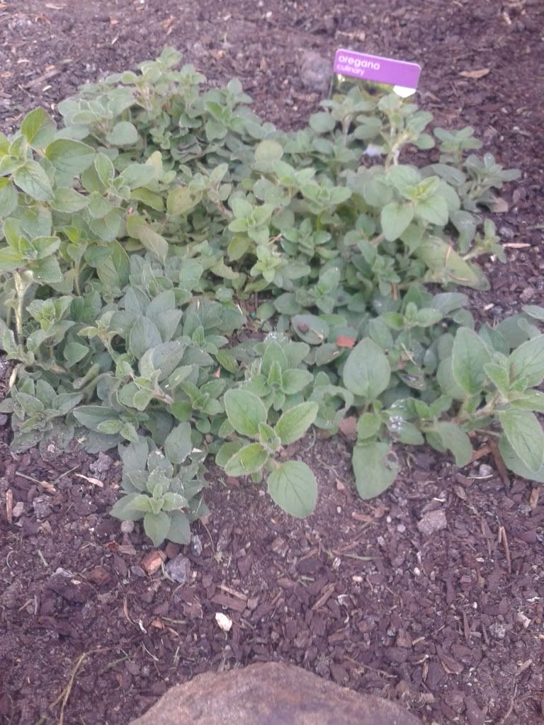 2013-09-02144457_zps22d4df55.jpg