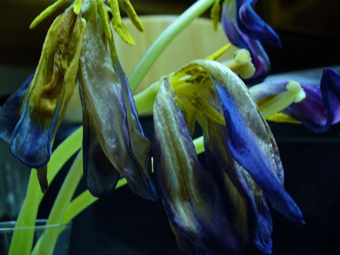 P101024257.jpg