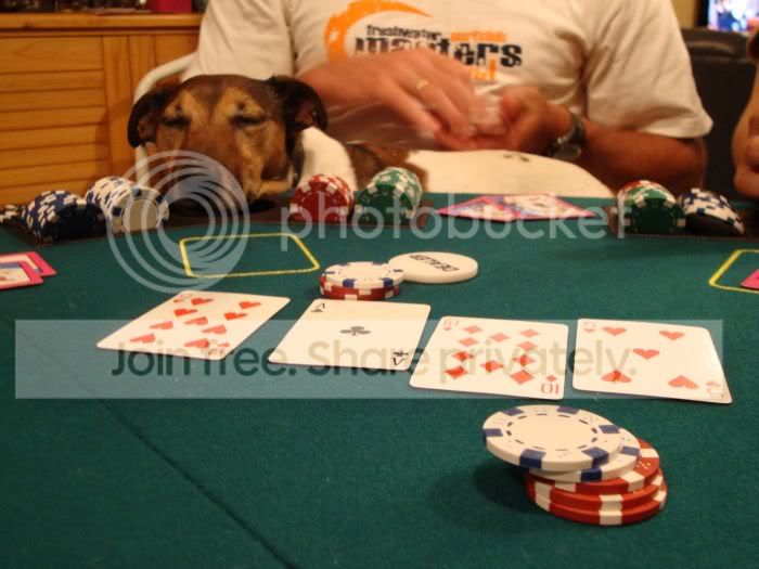 pokerdoog2.jpg