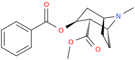 methyl%20(1R%2C2R%2C3S%2C5S)-3-%20(benzoyloxy)-8-methyl-8-azabicyclo%5B3.2.1%5D%20octane-2-carboxylate.png