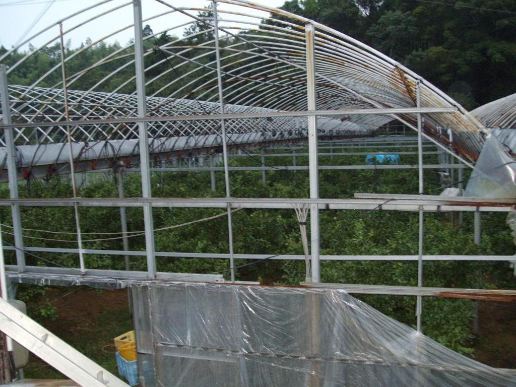 farmingpictures001.jpg