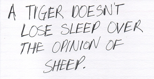 tumblr_merzgkEFRJ1qfusnio1_500.jpg