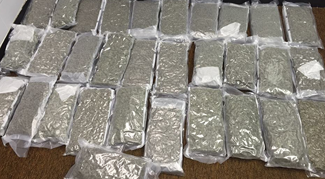 ARTICLE-IMAGE-WEED.jpg
