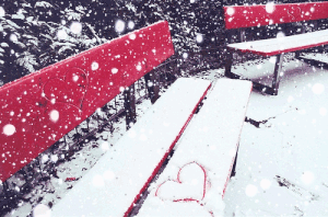ba0755589e.gif