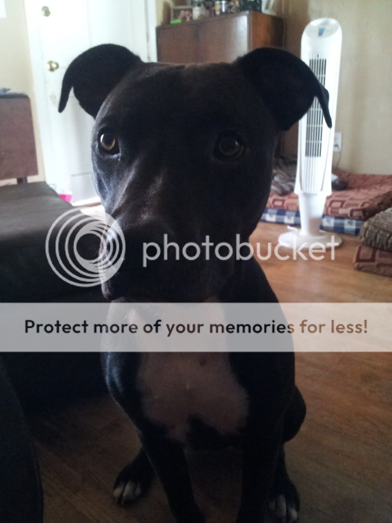 2011-10-06112610.jpg