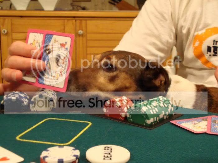 pokerdoog1.jpg
