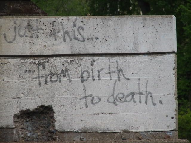 SpringPills292.jpg