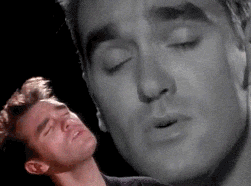 tumblr_m4foloEov61r1bkx5o1_500.gif