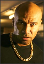 goldie01.jpg