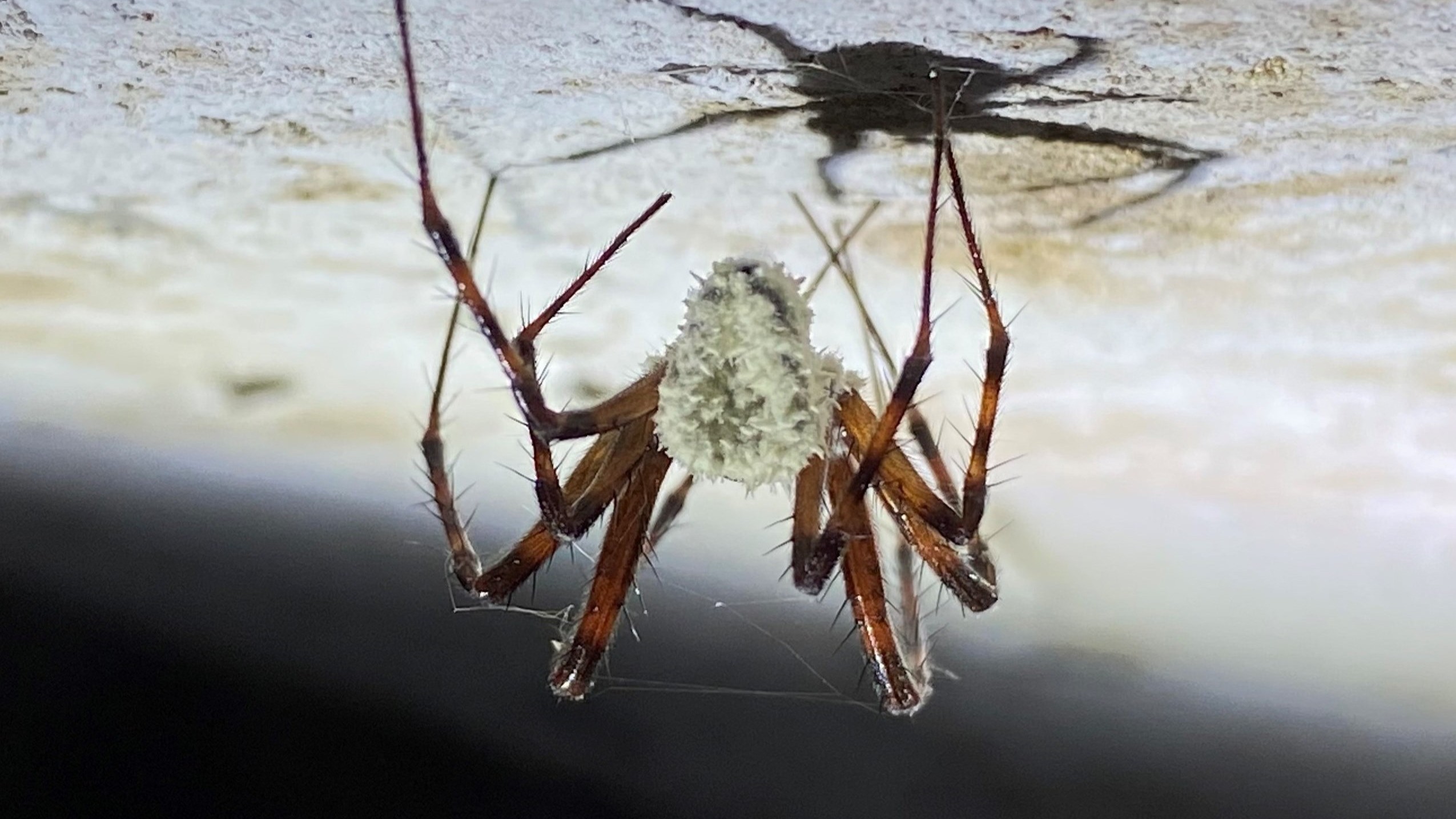 www.livescience.com