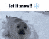 H09pefS.gif