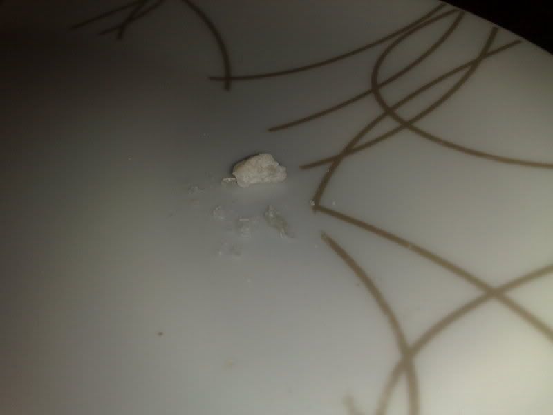 20112009231.jpg
