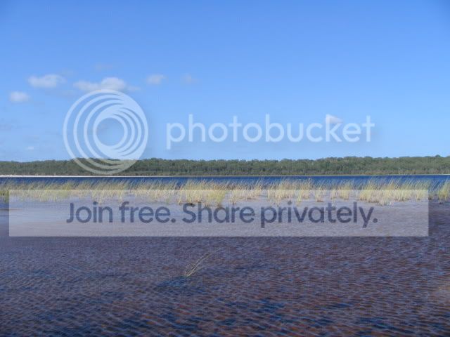 FraserIslandNewYears2005-2006095.jpg