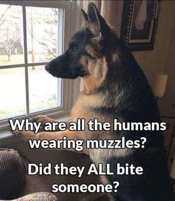 XZqKrsx.jpg