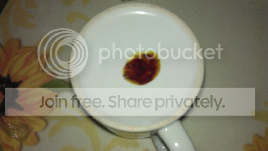 IMAG0328.jpg