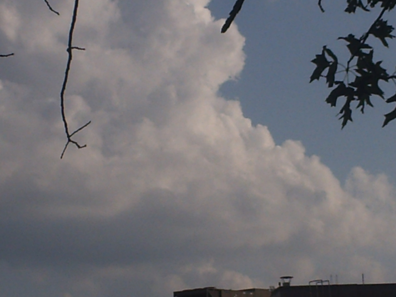 PICT0065.jpg