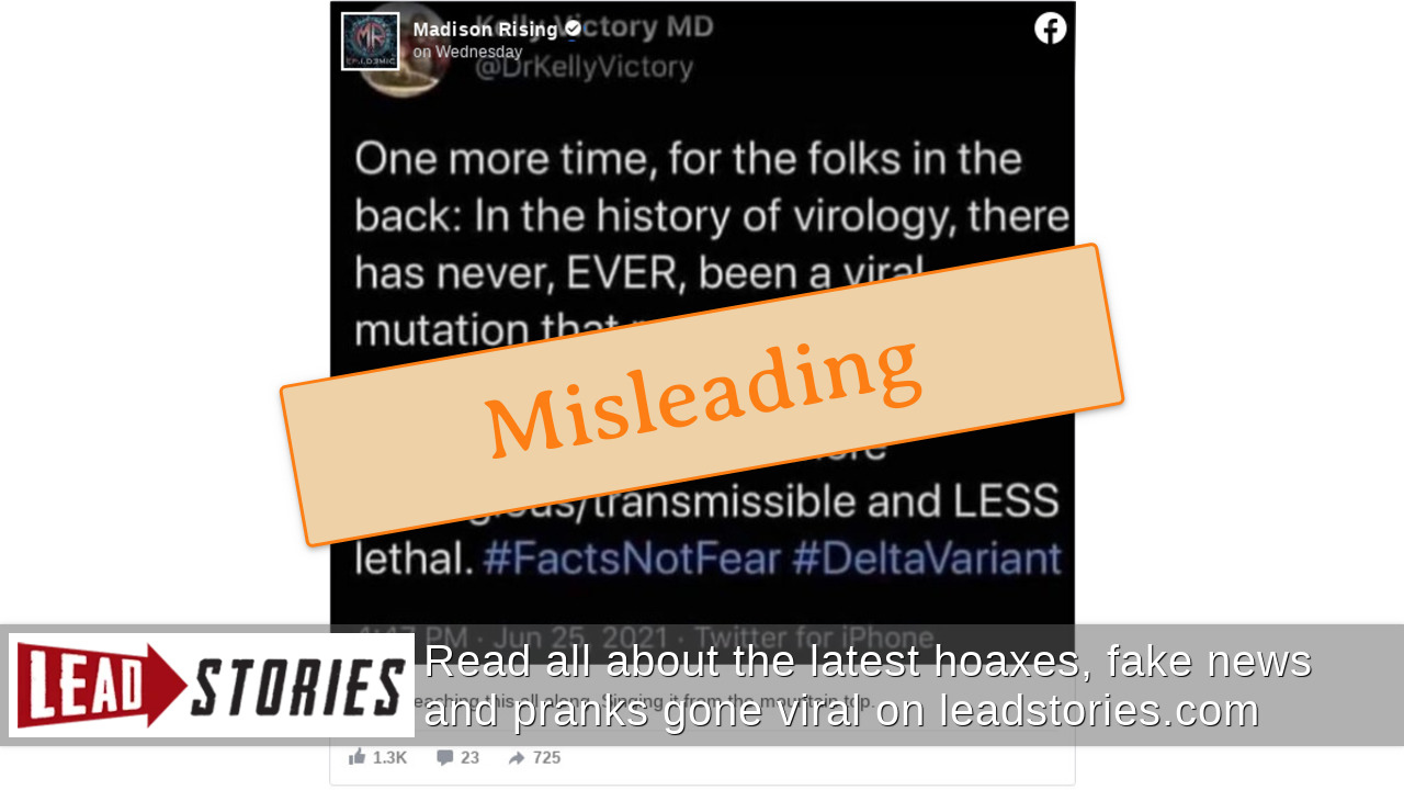 leadstories.com