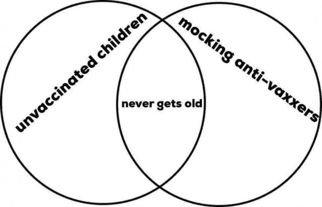 44561801-474130903109334-1291577759184715776-n.jpg